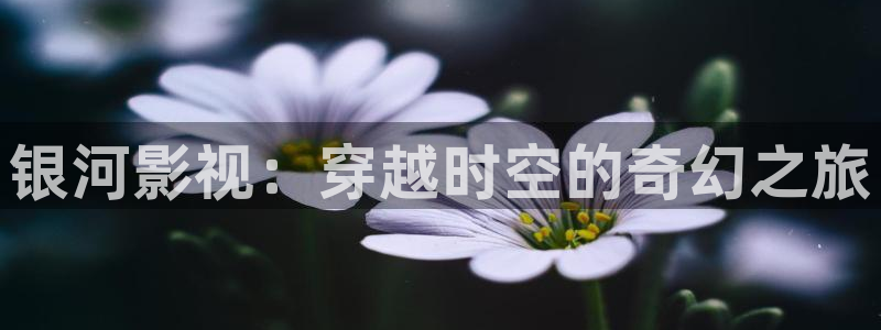 青苹果影院殇情影院